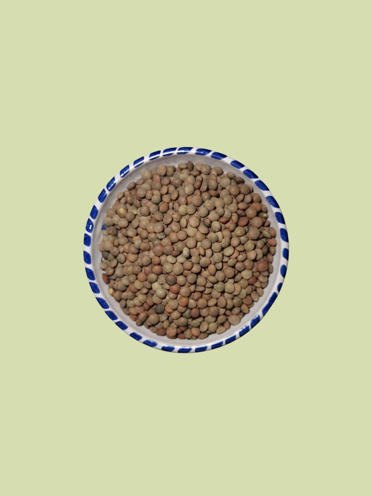 Leča Kastilija, ekološka; 1kg